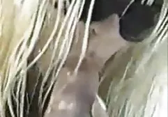(غرب),2,سر سرخ, لینک کانال فیلم سکس در تلگرام نوجوان