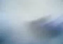 سیاه و سفید لزبین کانال فیلم وعکس سکسی